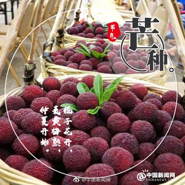 Boil green plums

In South China, May and June are the season when plums become ripe. There was an allusion that Cao Cao and Liu Bei, two central figures in the Three Kingdoms period (AD220-280), talked about heroes while boiling green plums.

Green plums contain a variety of natural and high-quality organic acids and are rich in minerals. They can help clean blood, lower blood lipids, eliminate tiredness and improve one\'s looks. However, fresh plums are acerbic and need to be boiled before serving.