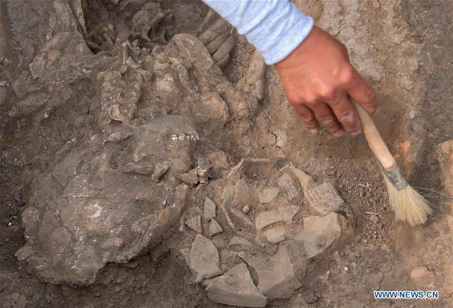 An archaeology staff member works at a family tomb of bronzeware artisans of the Shang Dynasty in Anyang, central China\'s Henan Province, June 5, 2019. Archaeologists in central China\'s Henan Province said they have identified 42 tombs unearthed since 2017 to be a family tomb of bronzeware artisans dating back over 3,000 years. (Xinhua/Li An)