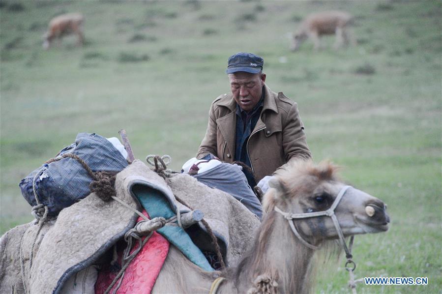 A herdsman packs up for a trip to summer pasture in Fuhai County of Altay, northwest China\'s Xinjiang Uygur Autonomous Region, on June 6, 2019. As summer comes, herdsmen of Kazak ethnic group here are busy with transferring livestock to summer pastures. (Xinhua/Ding Lei)