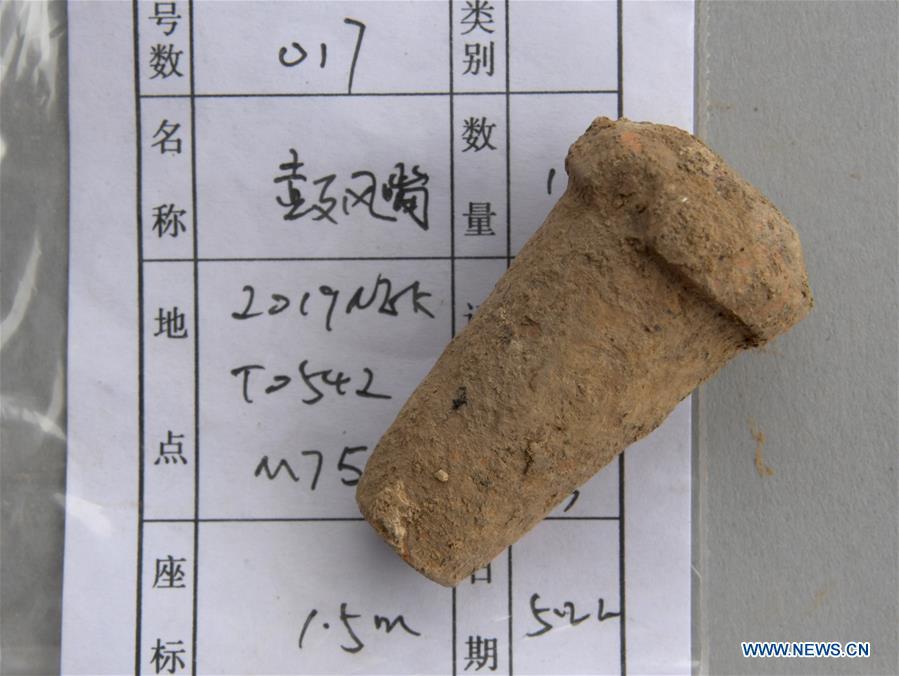 A relic unearthed from the family tomb of bronzeware artisans of the Shang Dynasty is displayed in Anyang, central China\'s Henan Province, June 5, 2019. Archaeologists in central China\'s Henan Province said they have identified 42 tombs unearthed since 2017 to be a family tomb of bronzeware artisans dating back over 3,000 years. (Xinhua/Li An)