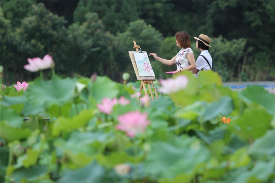 A lotus pond with pink blossoms at a local park in Yongzhou, Central China\'s Hunan Province, becomes a sightseeing magnet for shutterbugs and painters on June 9, 2019.  (Photo/Xinhua)
