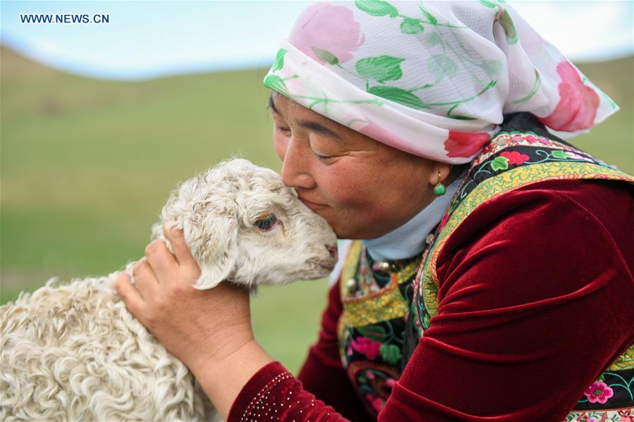 A woman caresses a lamb after arriving the summer camp during the nomadic migration on the Ar Horqin grassland in Chifeng City, north China\'s Inner Mongolia Autonomous Region, June 1, 2019. Yearly nomadic grazing is still a tradition for people live on the Ar Horqin grassland, where was listed of National Important Agricultural Heritage Systems in 2014. For a long time, herdsmen would decide the route and time of yearly nomadic grazing according to the growth of grassland. (Xinhua/Peng Yuan)