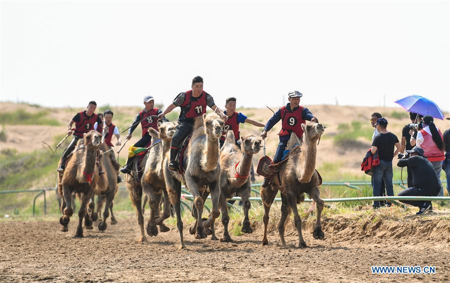 Participants take part in a camel riding contest during a desert Nadam Fair held in Naiman Banner, Tongliao City, north China\'s Inner Mongolia Autonomous Region, June 10, 2019. (Xinhua/Peng Yuan)