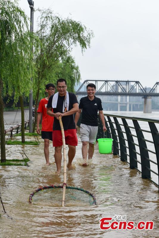 Residents catch fish on a flooded street near the Liujiang River after heavy rainfall upstream in Liuzhou City, Southwest China’s Guangxi Zhuang Autonomous Region, June 10, 2019. (Photo: China News Service/Wang Yizhao)