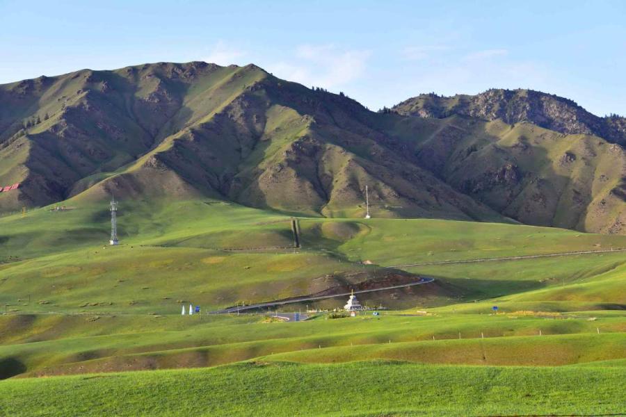 A view of the grasslands at the foot of Qilian Mountain in Zhangye city, Northwest China\'s Gansu Province, June 6, 2019. (Photo/chinadaily.com.cn)