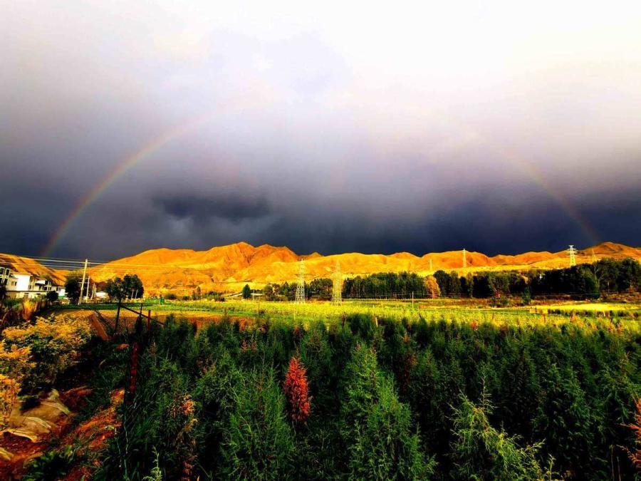 A view of the grasslands at the foot of Qilian Mountain in Zhangye city, Northwest China\'s Gansu Province, June 6, 2019. (Photo/chinadaily.com.cn)

The grasslands in Sunan county of Zhangye city, Northwest China\'s Gansu Province, have transformed into splendid summer scenery. 

Qilian Mountain, which surrounds the grasslands, is still covered in snow, while the foot of the mountain is carpeted with thousands of miles of green grasslands and flowers.

White clouds in the sky, cattle and sheep on the grasslands, snow on the mountain, herdsmen and smoke tents create a beautiful picture.