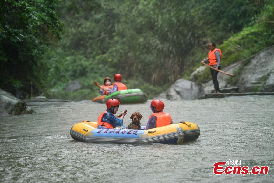 A unique rafting competition with entrants competing together with their canine pals is held in a river in Lianyun Mountain in Pingjiang County, Central China’s Hunan Province, June 12, 2019. The rafting route stretched for eight kilometers. (Photo: China News Service/Yang Huafeng)