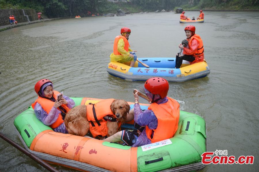A unique rafting competition with entrants competing together with their canine pals is held in a river in Lianyun Mountain in Pingjiang County, Central China’s Hunan Province, June 12, 2019. The rafting route stretched for eight kilometers. (Photo: China News Service/Yang Huafeng)