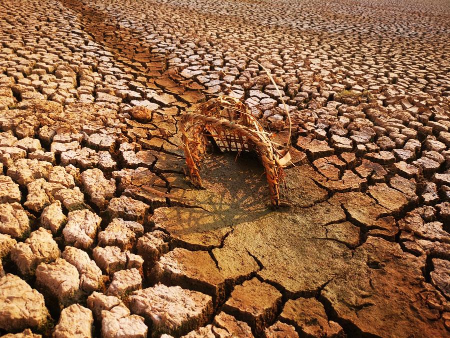 The Heinigou Reservoir, which can hold 600,000 cubic meters of water, has completely dried up in Xiaobaihu township of Luliang county in Yunnan. (Photo/chinadaily.com.cn)

Severe drought has hit Yunnan in Southwest China, with more than two million people facing water shortage.

The drought has affected an area of more than one million hectares, according to the latest data from the Ministry of Water Resources.