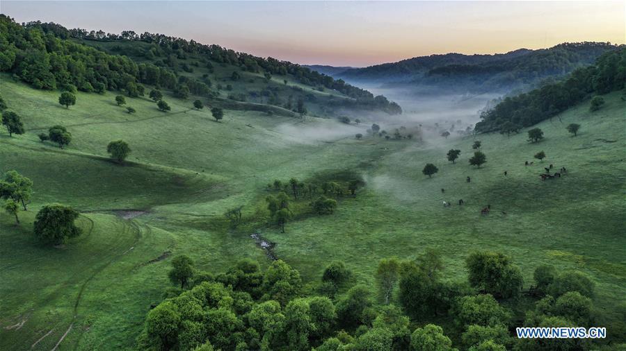 Aerial photo taken on June 13, 2019 shows the view of Guanshan Grassland at Longxian County in Baoji, northwest China\'s Shaanxi Province. (Xinhua/Tao Ming)