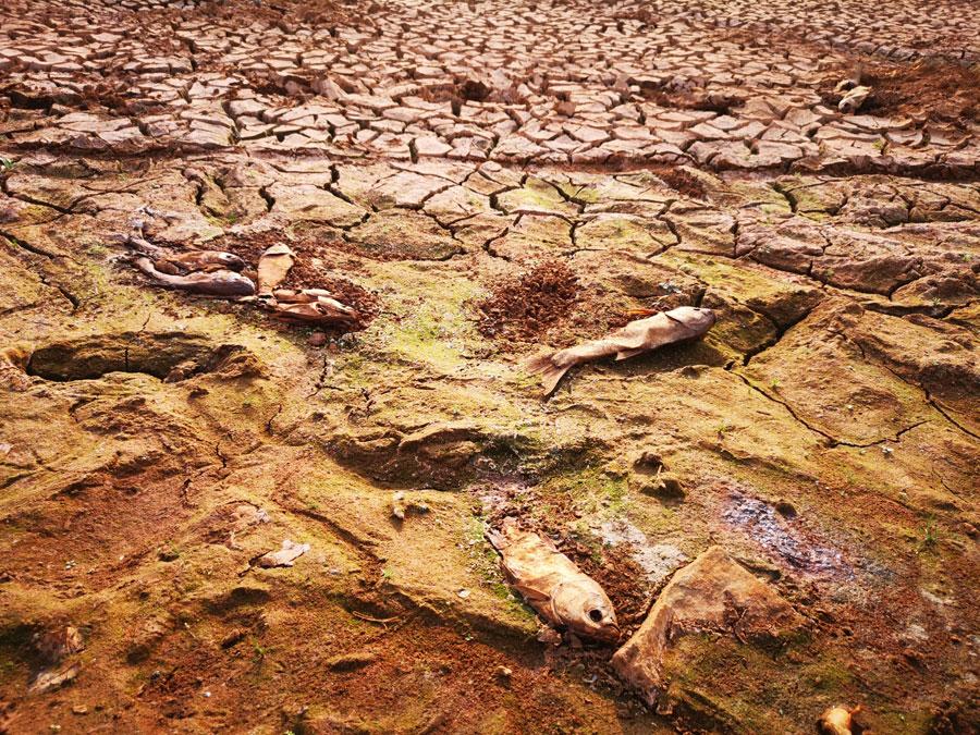 The Heinigou Reservoir, which can hold 600,000 cubic meters of water, has completely dried up in Xiaobaihu township of Luliang county in Yunnan. (Photo/chinadaily.com.cn)

The ministry was also working to prevent any potential floods.

In 2010, Yunnan experienced a big drought and since then has set up many water conservancy facilities. Without these facilities, Tian noted, the drought this year would have been worse.