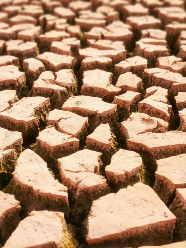 The Heinigou Reservoir, which can hold 600,000 cubic meters of water, has completely dried up in Xiaobaihu township of Luliang county in Yunnan. (Photo/chinadaily.com.cn)