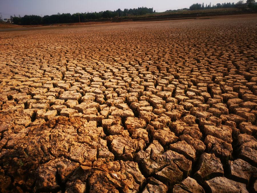 The Heinigou Reservoir, which can hold 600,000 cubic meters of water, has completely dried up in Xiaobaihu township of Luliang county in Yunnan. (Photo/chinadaily.com.cn)