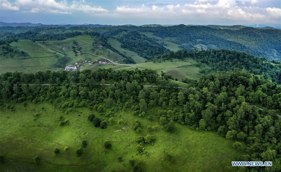 Aerial photo taken on June 12, 2019 shows the view of Guanshan Grassland at Longxian County in Baoji, northwest China\'s Shaanxi Province. (Xinhua/Tao Ming)