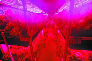 The Astronaut Center of China has successfully completed a 30-day self-sufficient space habitat testing program.