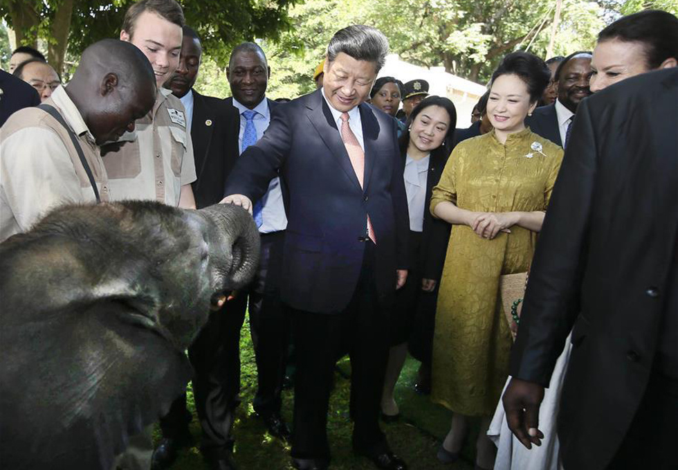 Xi reaffirms China's commitment to wildlife protection