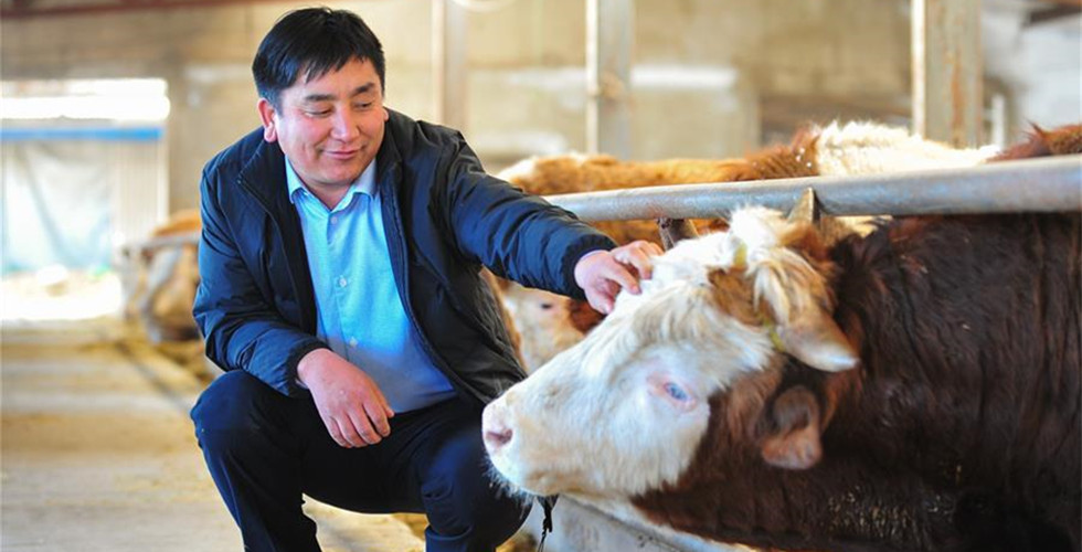Pic story: NPC deputy Wu Yunbo 