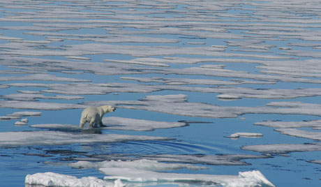 File photo of the Arctic region (Photo: cnr.cn) File photo of the Arctic region (Photo: cnr.cn)