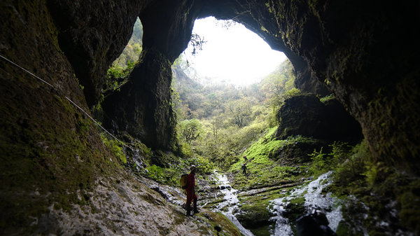 A view from inside Boniu Sinkhole, one of the large ones in nearly 50 sinkholes discovered in Shaanxi province, Northwest China. Most of them are well preserved in such counties as Ningqiang, Nanzheng, Xixiang, Zhenba, Gucheng and Mianxian. (Photo provided to China Daily)