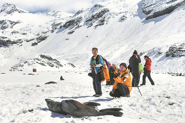 Chinese tourists take pictures of seals in Antarctica in January. (Photo/CHINA DAILY) Chinese tourists take pictures of seals in Antarctica in January. (Photo/CHINA DAILY)