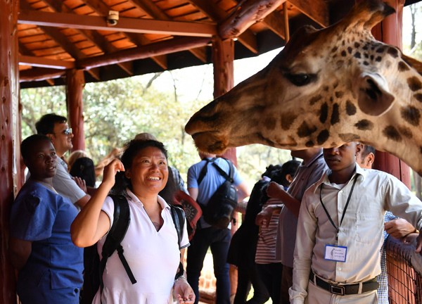 A Chinese tourist looks at a giraffe in Nairobi, the capital of Kenya. XINHUA A Chinese tourist looks at a giraffe in Nairobi, the capital of Kenya. XINHUA