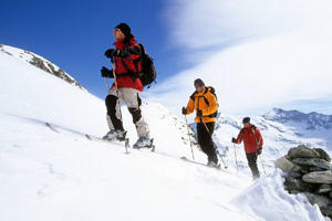 Austria keen to bring winter wonders to China