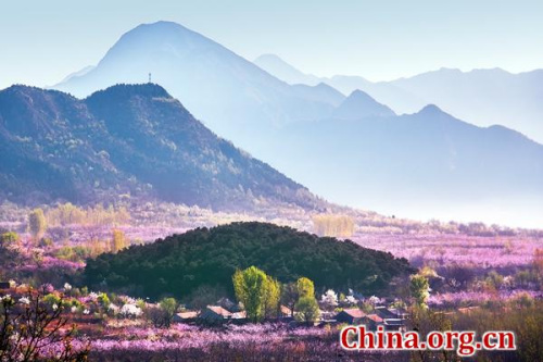 Int'l Peach Blossom Music Festival kicks off in Beijing's Pinggu district