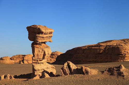 Tourists warned to stay away from rare camel habitat