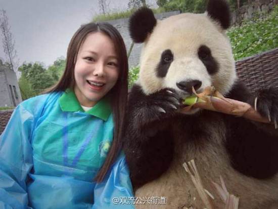 A panda from Chengdu recently made an impression on netizens after it took a selfie with a female visitor. In addition to holding onto the phone and taking the photo with the woman's help, the clever panda even adjusted its poses to create cuter photos. (Photo/bbs.chinadaily.com.cn) A panda from Chengdu recently made an impression on netizens after it took a selfie with a female visitor. In addition to holding onto the phone and taking the photo with the woman's help, the clever panda even adjusted its poses to create cuter photos. (Photo/bbs.chinadaily.com.cn)
