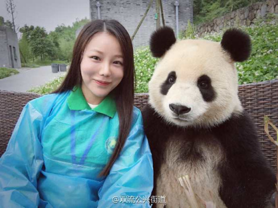 A panda from Chengdu recently made an impression on netizens after it took a selfie with a female visitor. In addition to holding onto the phone and taking the photo with the woman's help, the clever panda even adjusted its poses to create cuter photos. (Photo/bbs.chinadaily.com.cn) A panda from Chengdu recently made an impression on netizens after it took a selfie with a female visitor. In addition to holding onto the phone and taking the photo with the woman's help, the clever panda even adjusted its poses to create cuter photos. (Photo/bbs.chinadaily.com.cn)