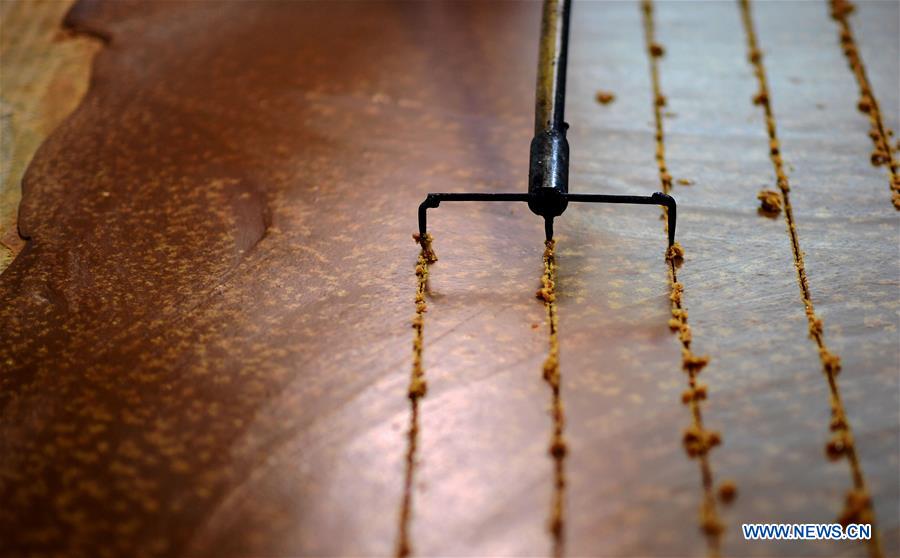 Ancient method used to produce brown sugar in Fujian