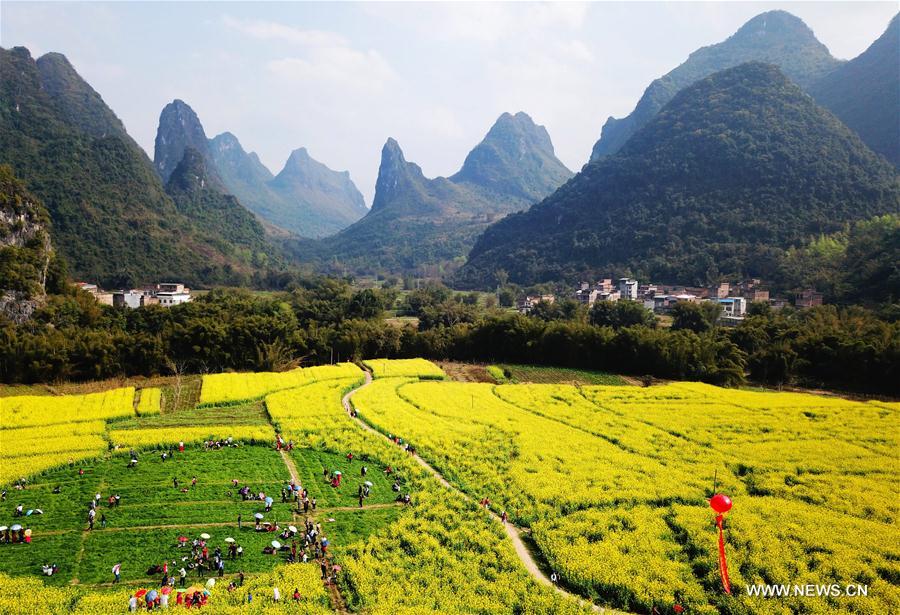Blossom season witnessed in China
