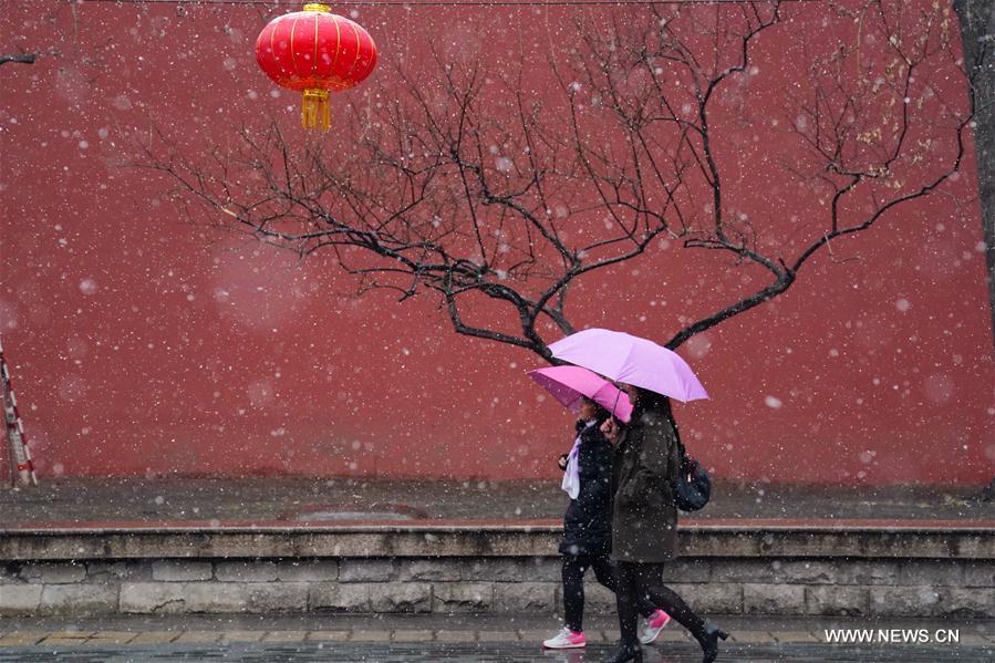 Snowfall hits Beijing