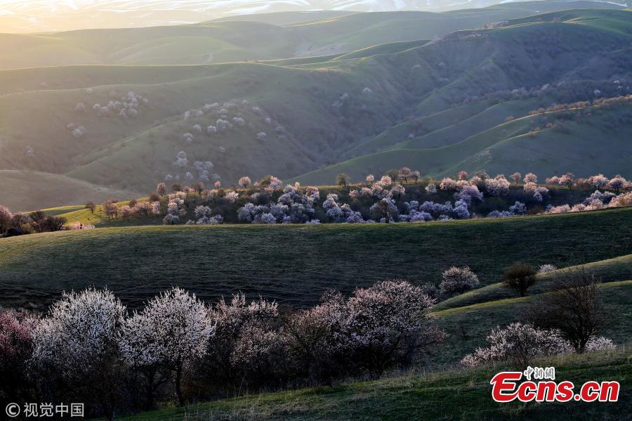 Northwestern mountains look like postcard