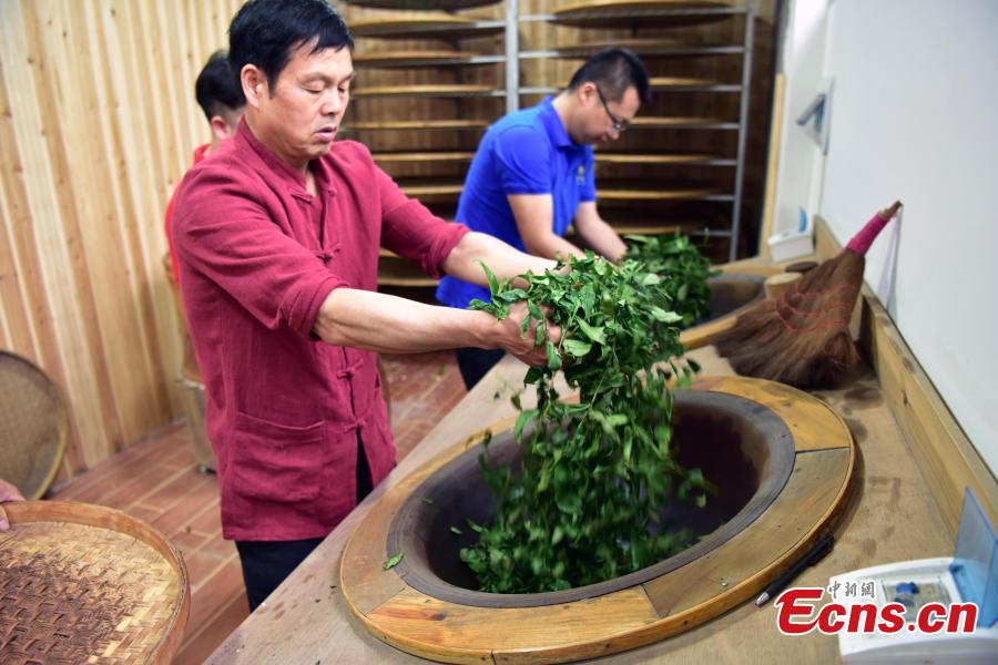 Ancient tea-making craft kept live in Wuyi Mountains