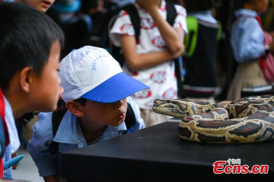 Museum promotes awareness on poisonous wildlife 