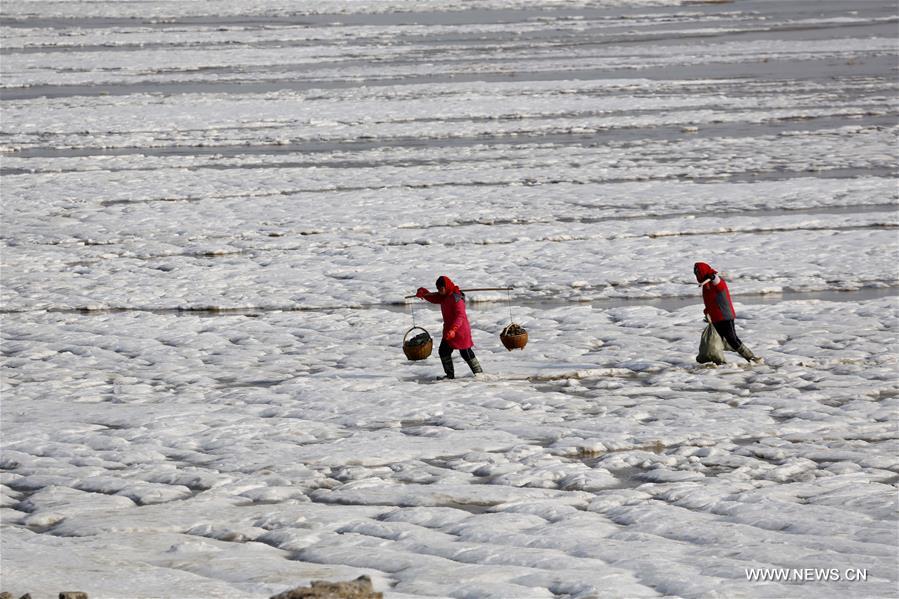 Cold wave sweeps across China (1/6)