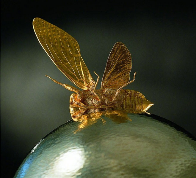 Gold and wood insects fly in Beijing's museum(1/10)