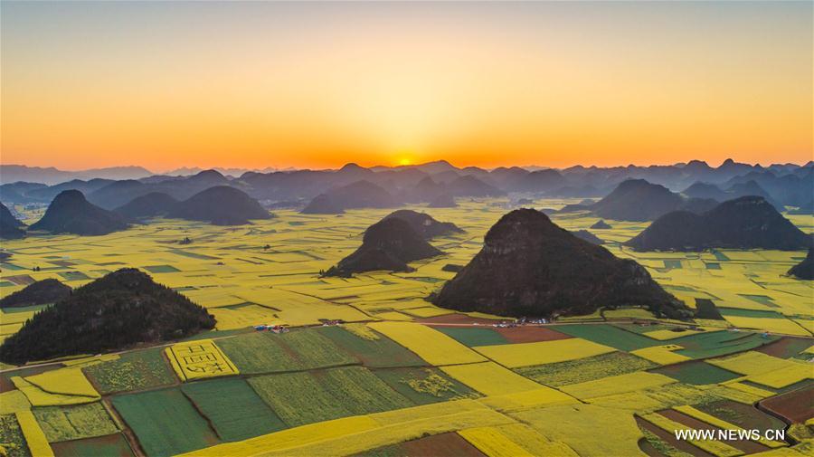 Rape flowers in Luoping, China's Yunnan